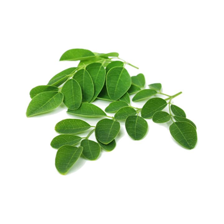 Normadex moringa hostoa dauka - parasitoen aurkako erremedio natural indartsua