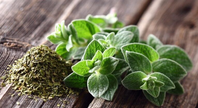 oregano aktiboa da parasitoen aurka