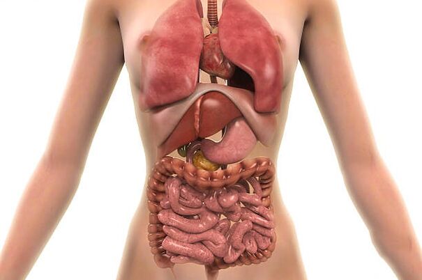 parasitoak giza gorputzean