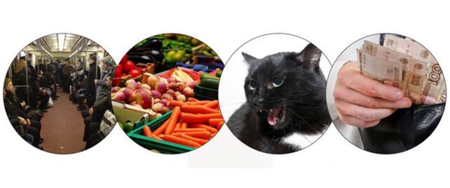 parasitoak infekzio metodoak