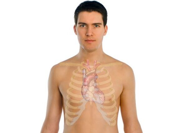 parasitoek giza organoetan nola eragiten duten